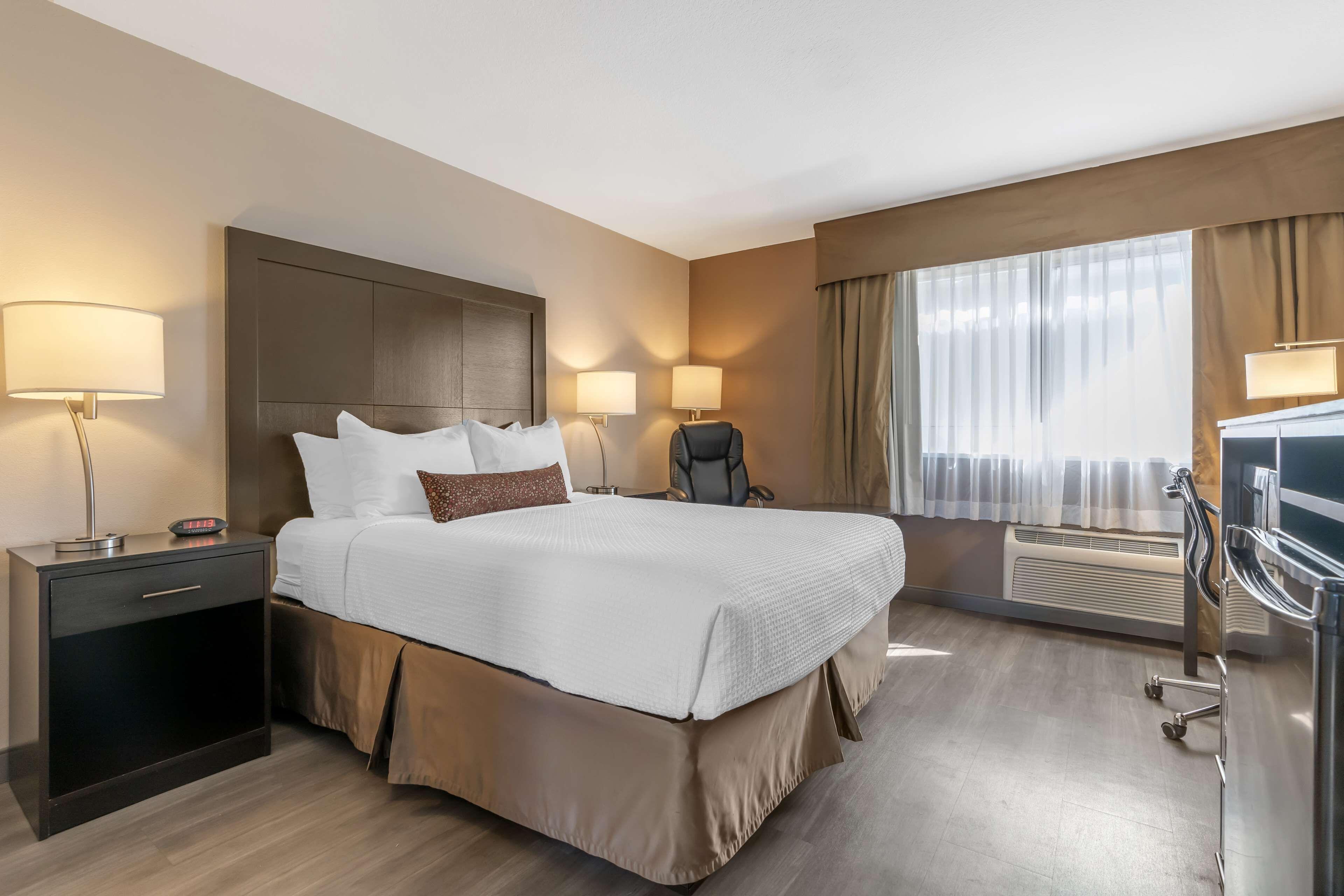 Queen Room Pet-Friendly or Non-Smoking,1567020365:JPEG